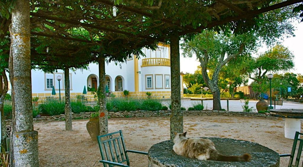 Апартаменти Quinta Da Bela Vista Povoa e Meadas Екстер'єр фото