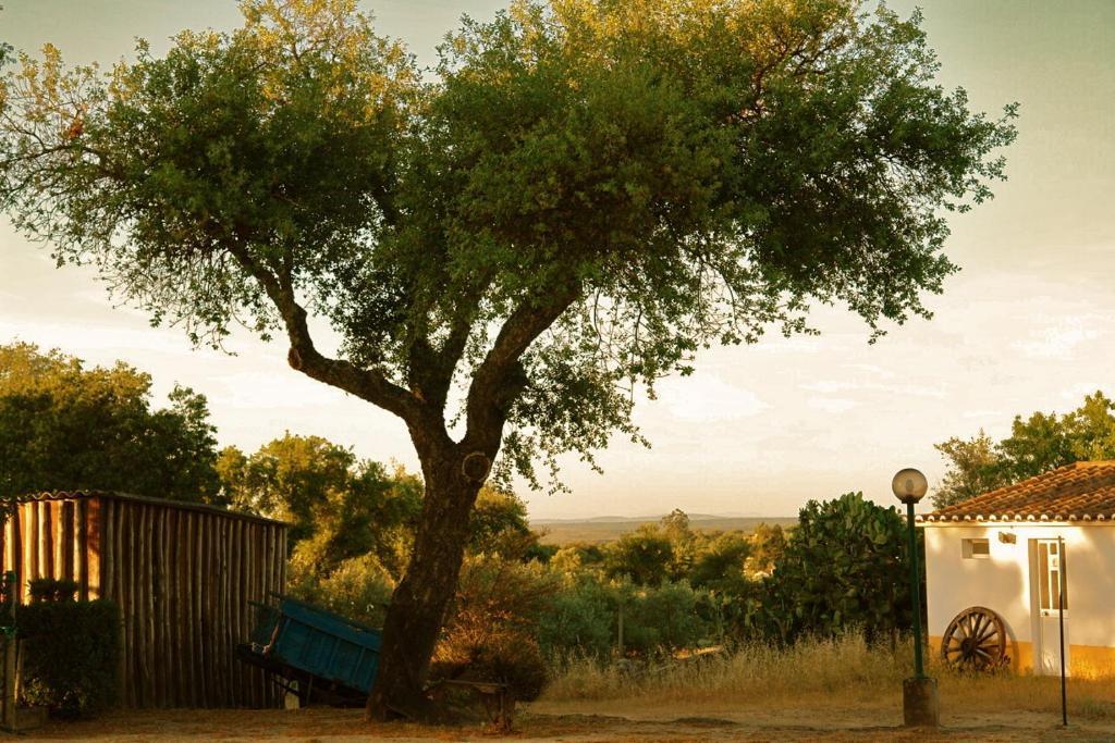 Апартаменти Quinta Da Bela Vista Povoa e Meadas Екстер'єр фото