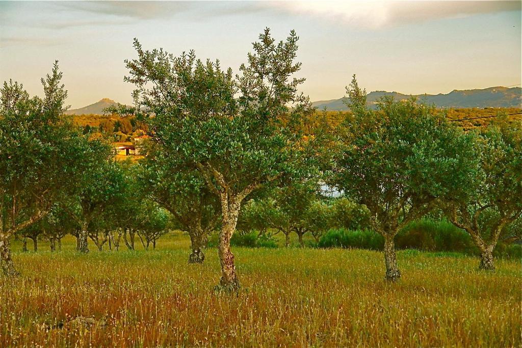 Апартаменти Quinta Da Bela Vista Povoa e Meadas Екстер'єр фото