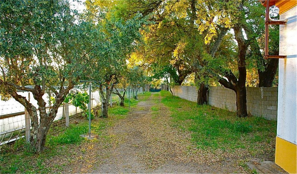 Апартаменти Quinta Da Bela Vista Povoa e Meadas Номер фото